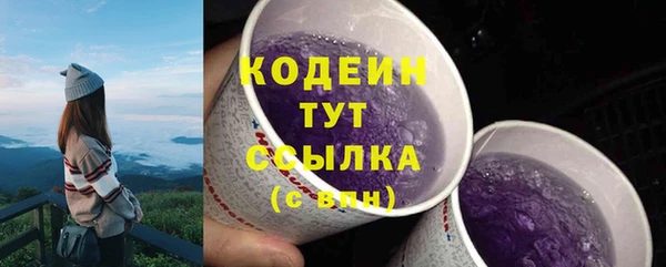 гашик Нея
