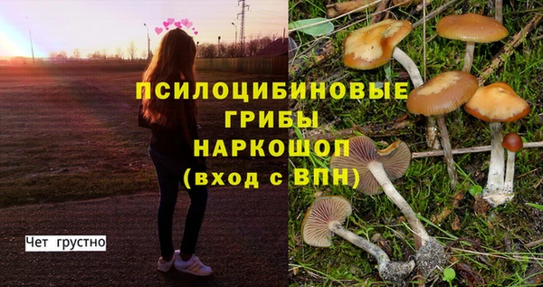 наркотики Новозыбков