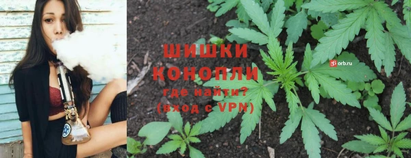 гашик Нея