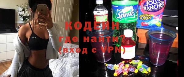 гашик Нея