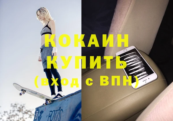 гашик Нея