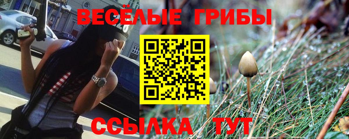 Сочи  Галлюциногенные грибы мицелий  Вход с VPN 